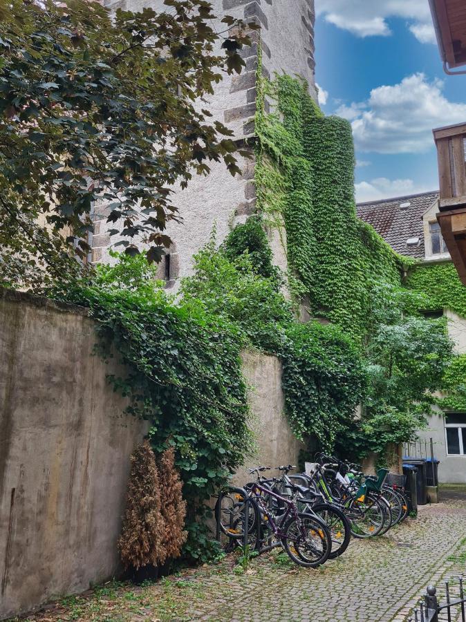Altstadt Domizil Пирна Екстериор снимка